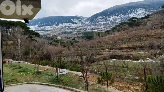Tulai Guesthouse- الباروك الشوف