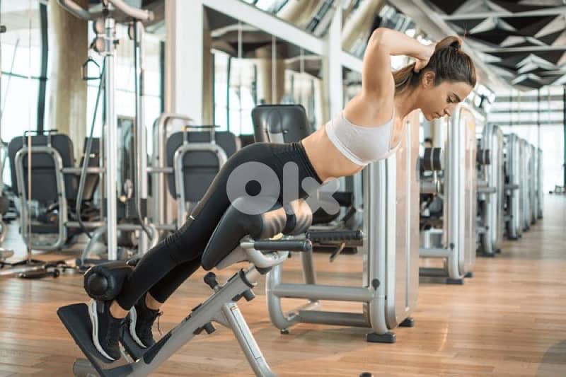 Back extension new 0