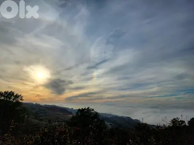 1510 SQM Orchard Land in Zaarour (with Apples, Walnuts) +  View