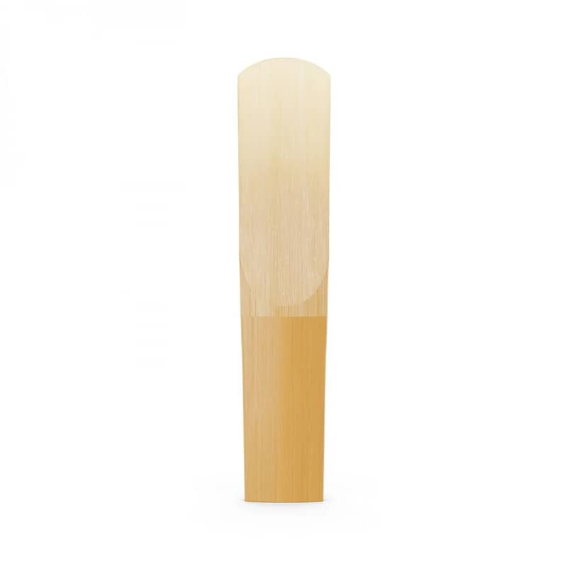Maxtone Saxophone Reeds (Anche) 0