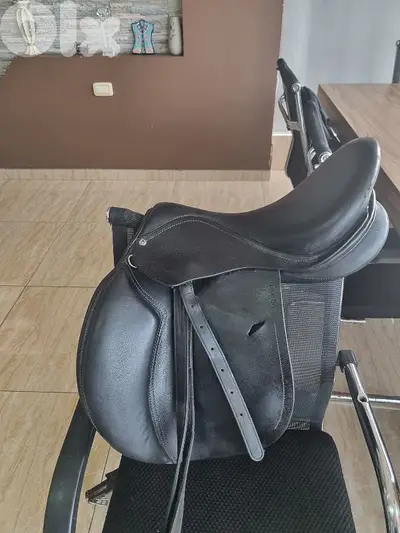 عدة ركوب وعناية بالخيل horse equipment