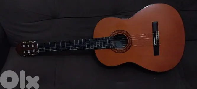 Guitar