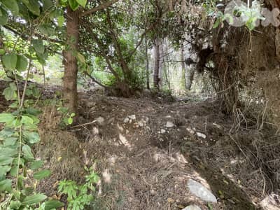 RWK313CA - Land for sale in Kfour with Open Sea View!