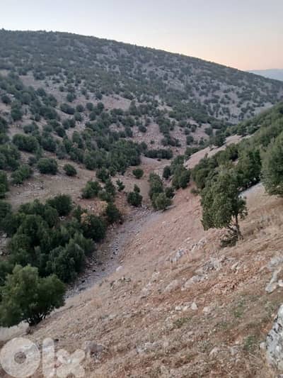 أرض للبيع في راشيا الواديland for sale in rashaya