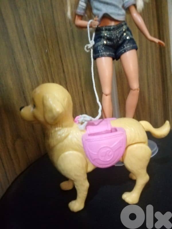 Barbie SPLISH PUP Great doll Mattel2017 flex legs+Walking Dog, both=33 6