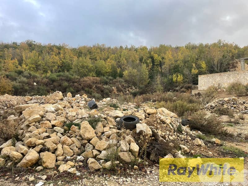 RWB196PK - Land for sale in Mechmech Jbeil 5