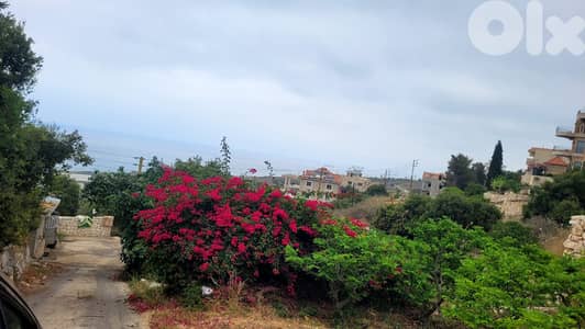 GMB131SZ - Land for sale in Berbara- أرض للبيع في بربارة