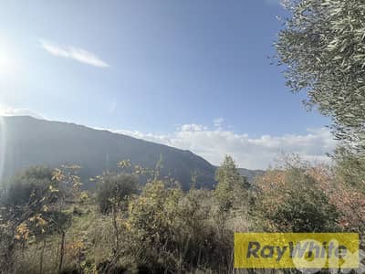 RWB201EG - Land for rent in Jbeil - Ain Jrain