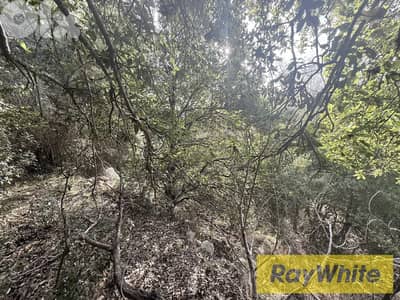 RWB201EG - Land for rent in Jbeil - Ain Jrain