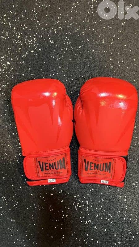venum gloves 6