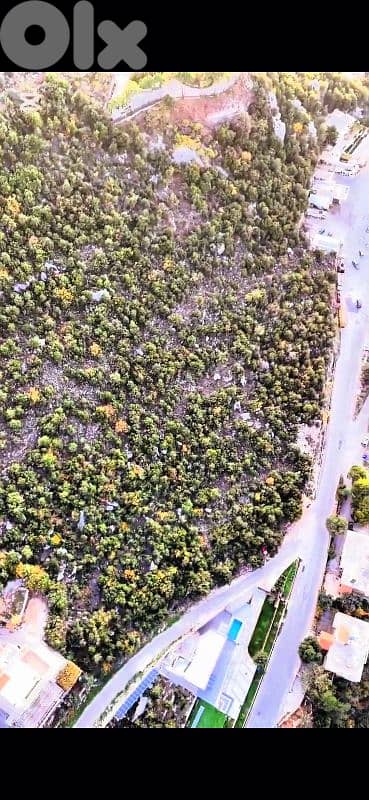 lands for sale in Doumaأرض للبيع في دوما