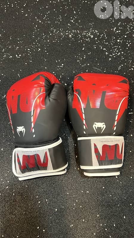 boxing gloves 1
