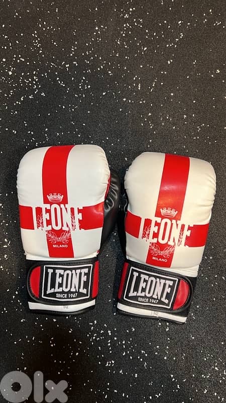 boxing gloves 4