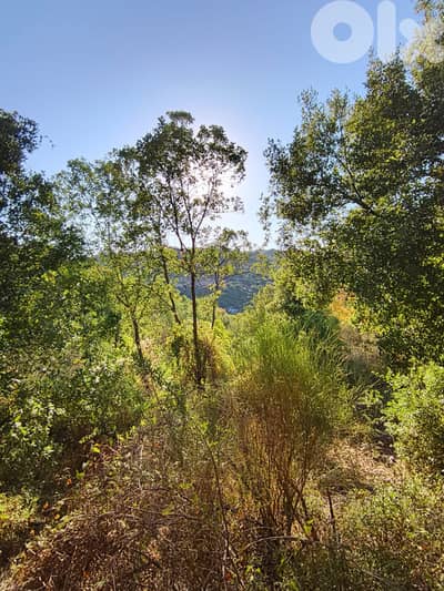 Land for sale in Kfarhatna-Batroun أرض للبيع في كفرحتنا-البترون