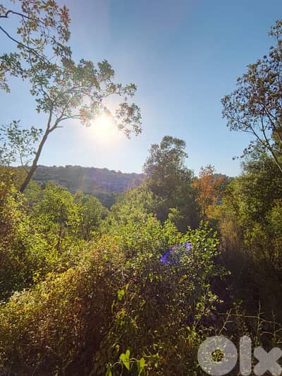Land for sale in Kfarhatna-Batroun أرض للبيع في كفرحتنا-البترون