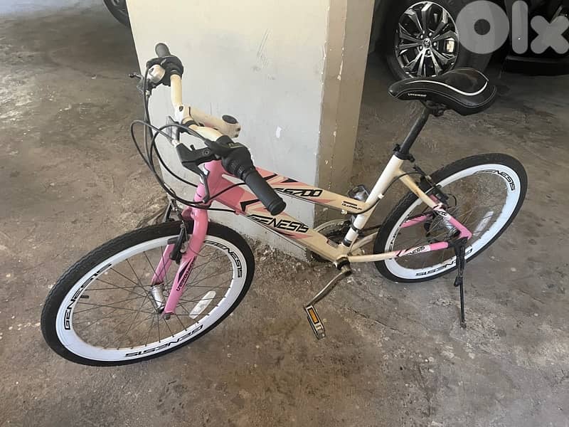 bicycles 1