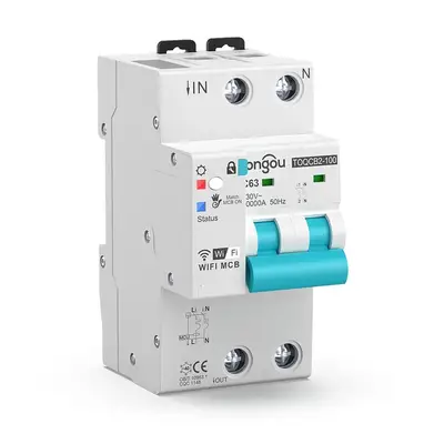 Tongou Tuya WiFi Smart Circuit Breaker Energy Meter 2P