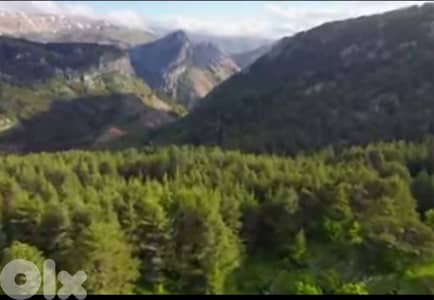 lands for sale in Arz-tannourine أرض "لقطة" بمجمع سياحي للتزلج _تنورين