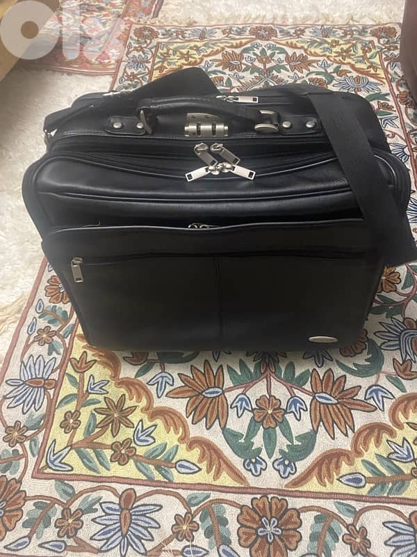 Travel Hand bag Pierre Garden 0