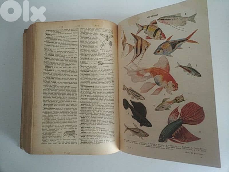 Very old book Petit Larousse illustré - Not Negotiable 1