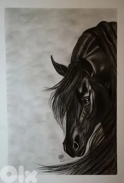 horse charcoal drawing. لوحة رسمة حصان فحم