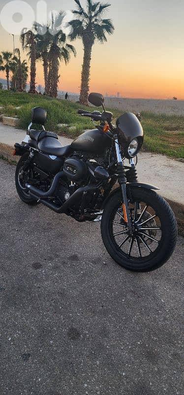 Harley Davidson - Iron 883 0