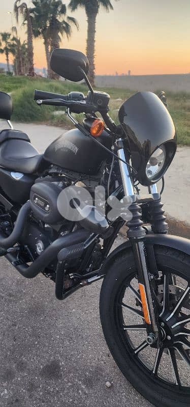 Harley Davidson - Iron 883 1