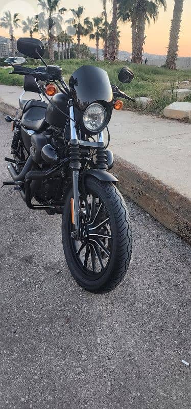 Harley Davidson - Iron 883 2