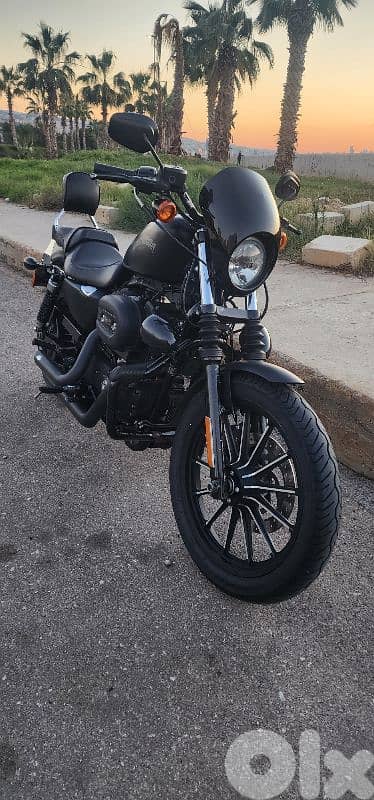 Harley Davidson - Iron 883 3