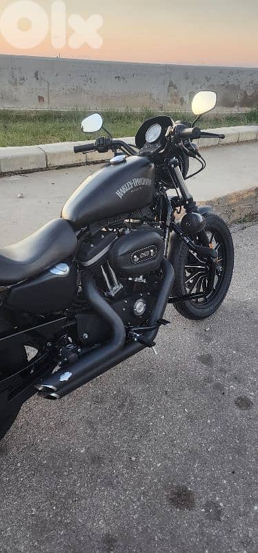 Harley Davidson - Iron 883 4
