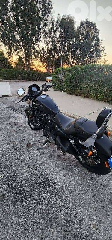 Harley Davidson - Iron 883 7