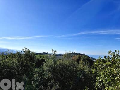Land for sale in Gharzouz Jbeil