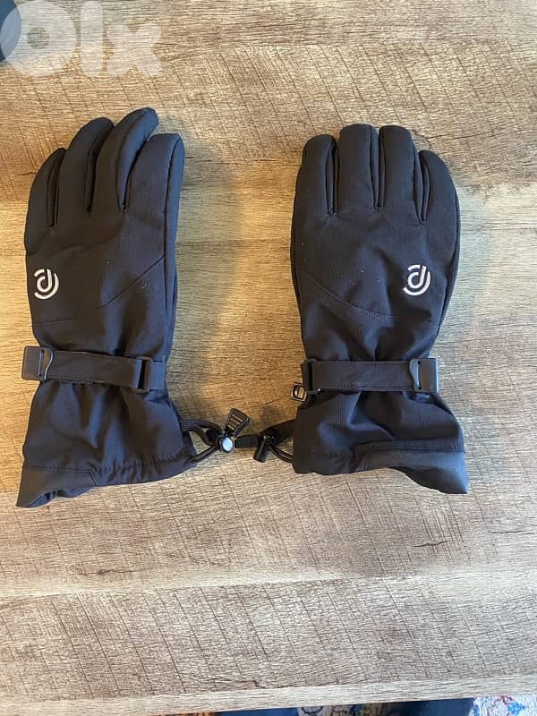 Snow Gloves 0