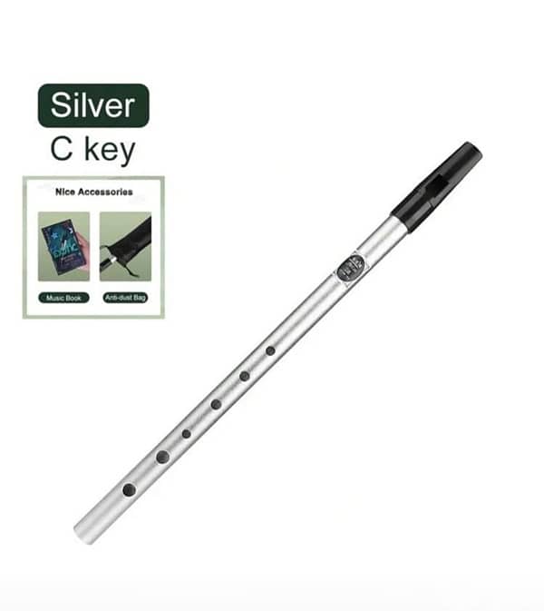 irish tin whistle 1