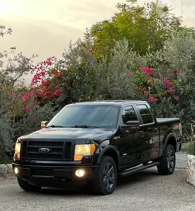 Ford F-series 2011