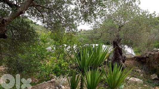 GMB129 Land With an old House For Sale In Kfifan أرض مع منزل