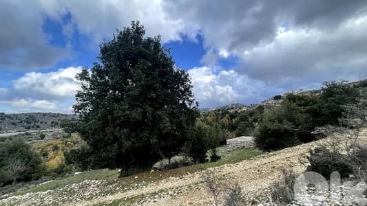 RWB328CA - Land for sale in Mechmech Jbeil