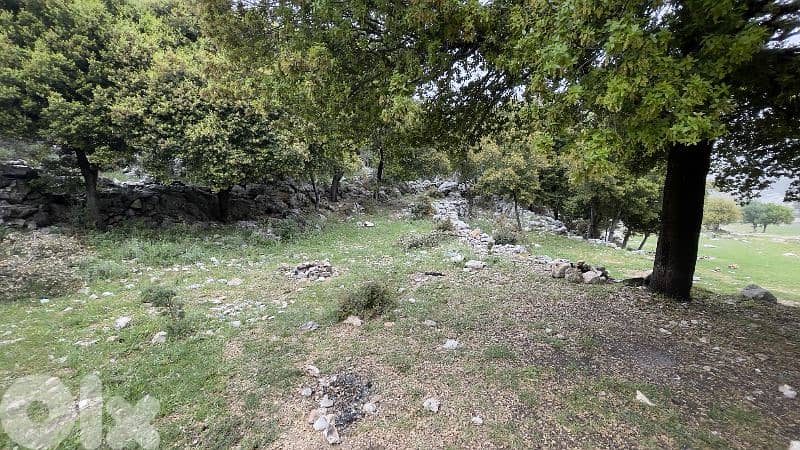 RWB244CA - Land for sale in Lehfed Jbeil 0