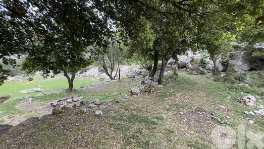 RWB244CA - Land for sale in Lehfed Jbeil