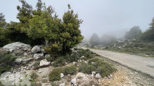 RWB244CA - Land for sale in Lehfed Jbeil