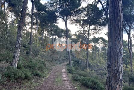 Exceptional Land for Sale in Bikfaya Bhorsaf’s Sakiyet El Misk-CPCC95
