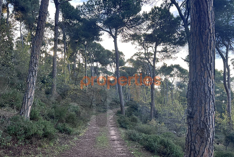 Land for Sale in Bikfaya أرض للبيع في بكفيا CPCC95