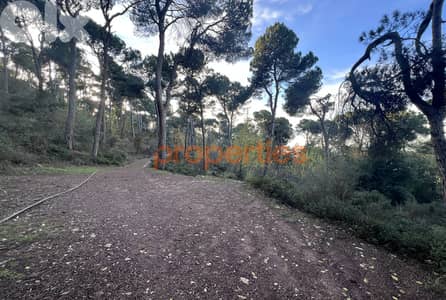 Exceptional Land for Sale in Bikfaya Bhorsaf’s Sakiyet El Misk-CPCC95