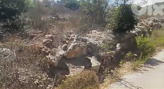 Land For Sale / Hot Deal /Marwahin REF#RJ130997