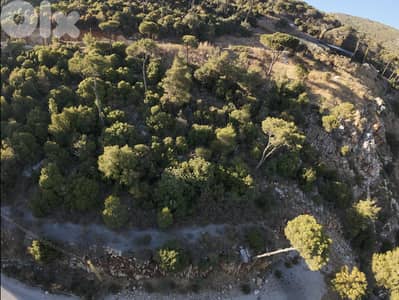 Villa Land in Baabdat - أرض فيلا هادئة في بعبدات