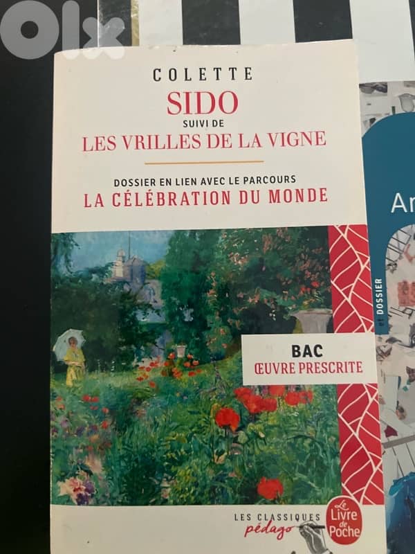 oeuvre nouveau bac 0