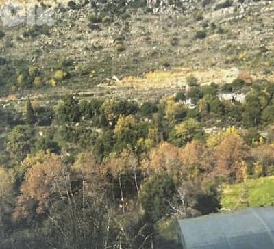 For sale Land in Ferhet Jbeil