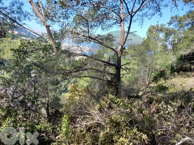 Prime Land for Sale in Kfarhbab – keserwan ! REF#RS131085 !