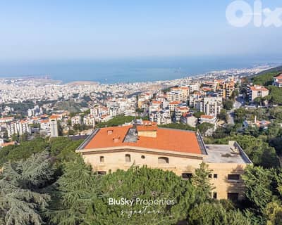 Villa with Land For SALE In Beit Meri فيلا للبيع #GS