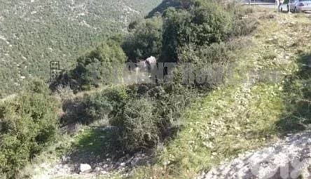 Land for sale in Blat-Jbeil | 4520 Sq. m